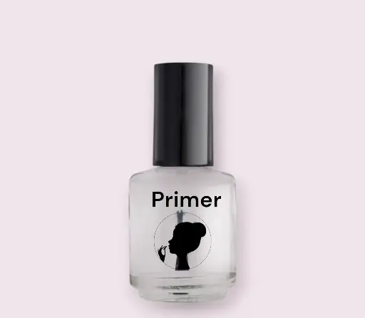 [PR02] Miss Ghibli - Primer